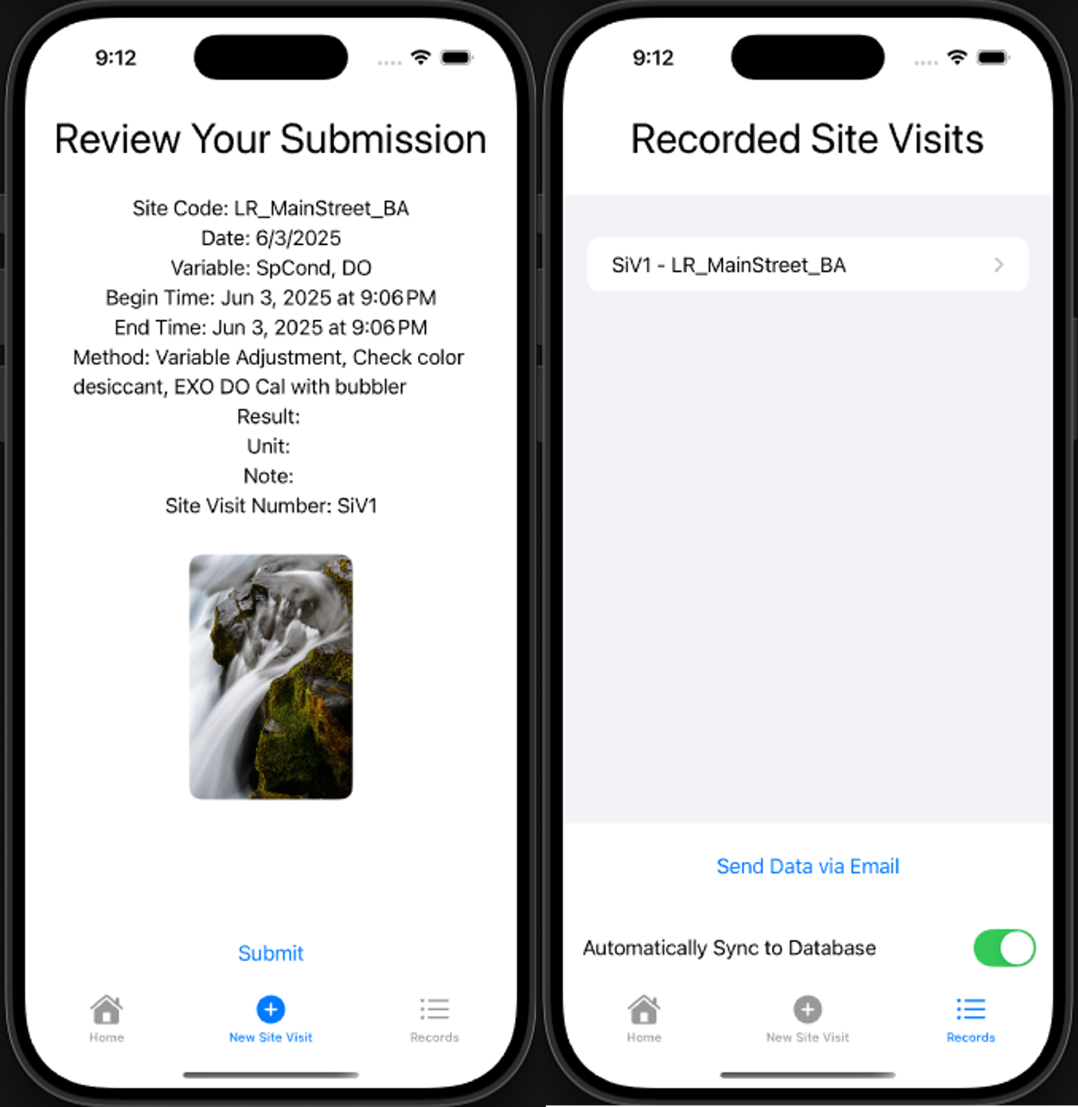 Site Visit Assistant app — record review screen